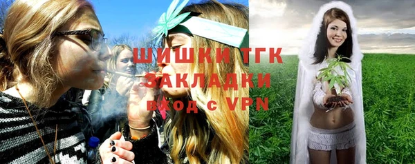 гидра Алексин
