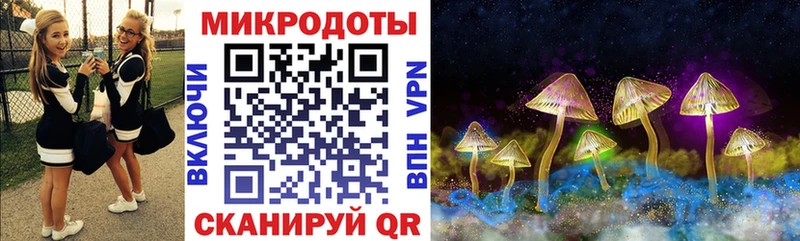 магазин  наркотиков  Михайловск  KRAKEN как зайти  Галлюциногенные грибы MAGIC MUSHROOMS 
