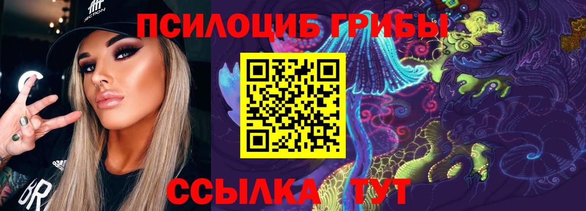 Галлюциногенные грибы Psilocybine cubensis Михайловск