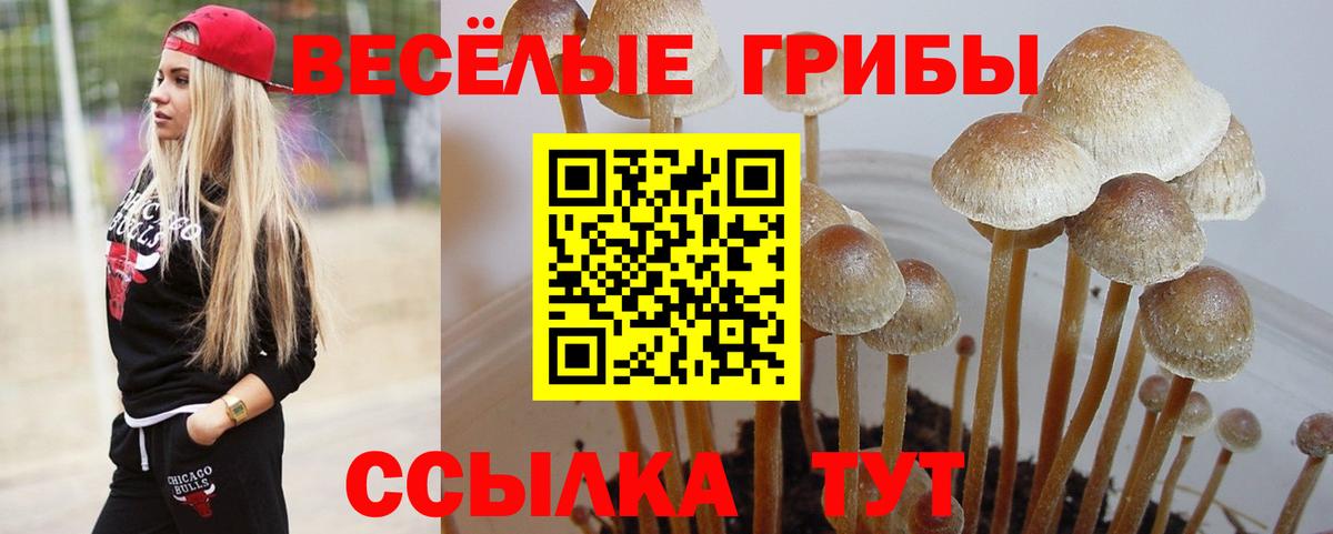Псилоцибиновые грибы MAGIC MUSHROOMS  Вход с VPN  Михайловск 