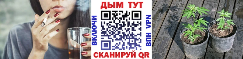 Канабис Bruce Banner  MEGA ONION  Михайловск  что такое наркотик 